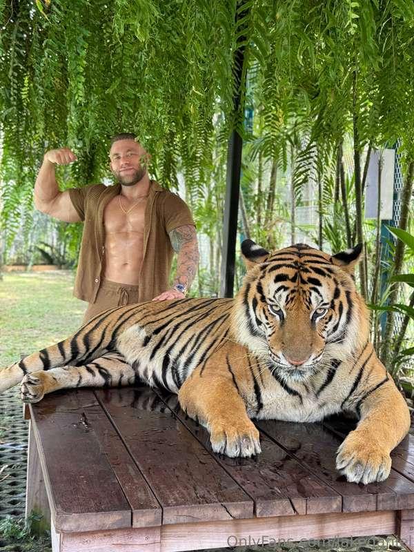 Kings of the Jungle 💪🏼🐯