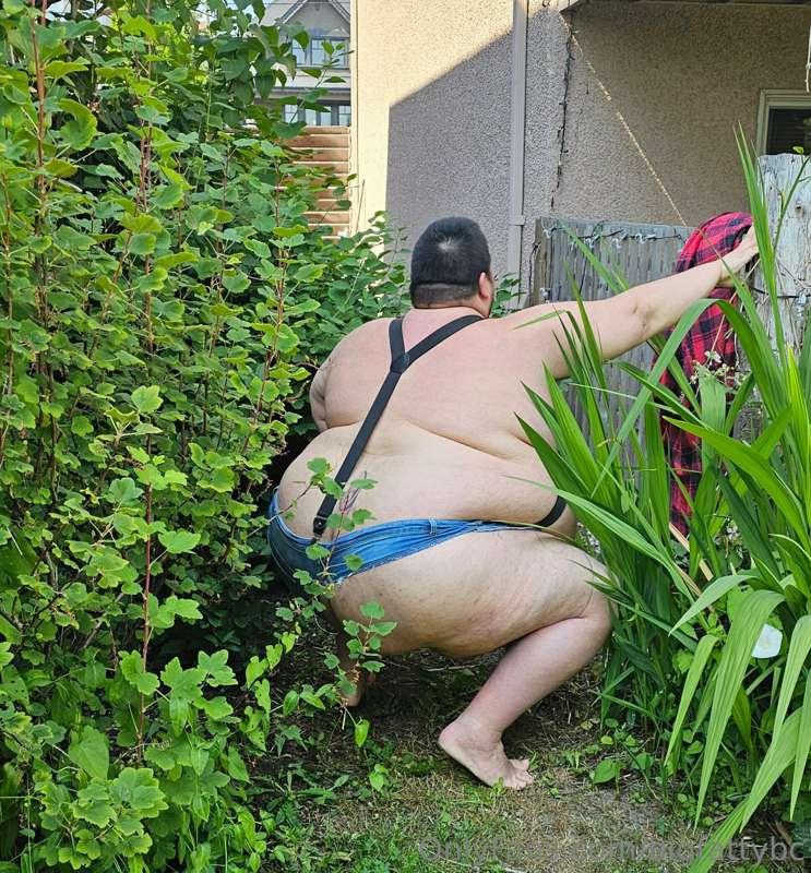bigfattybc image #2