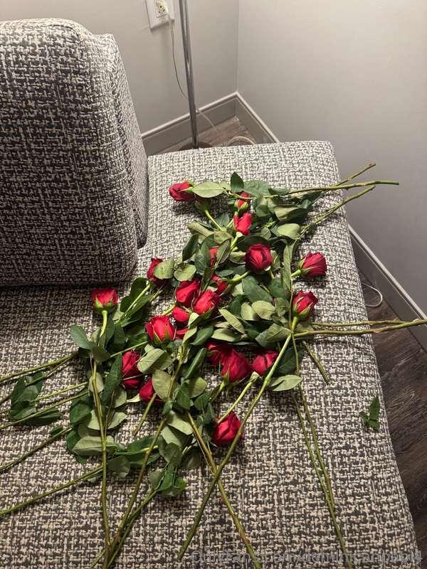 dominicanpapi4 image #0