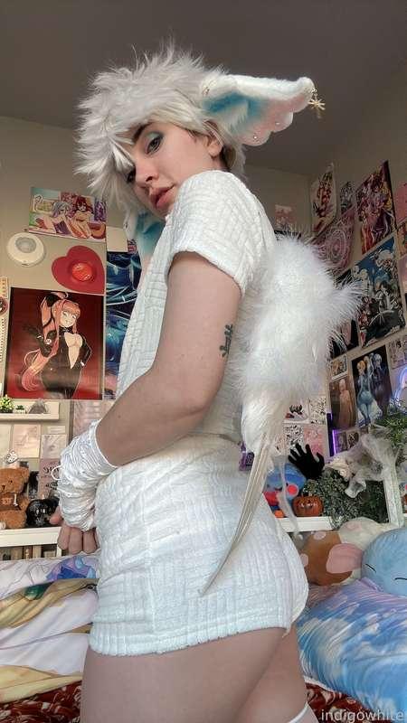 indigowhite image #246