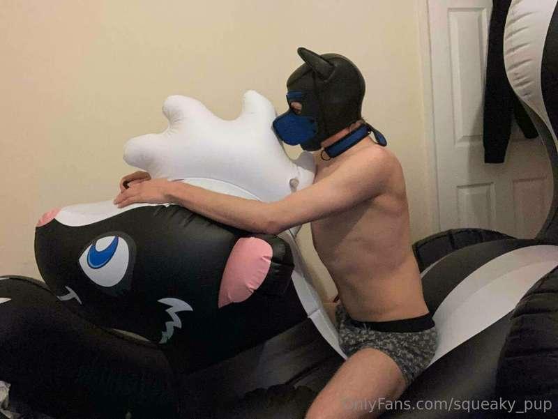 I have 3 skunks left what should I do? :3