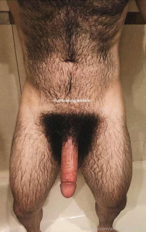Do you like him?