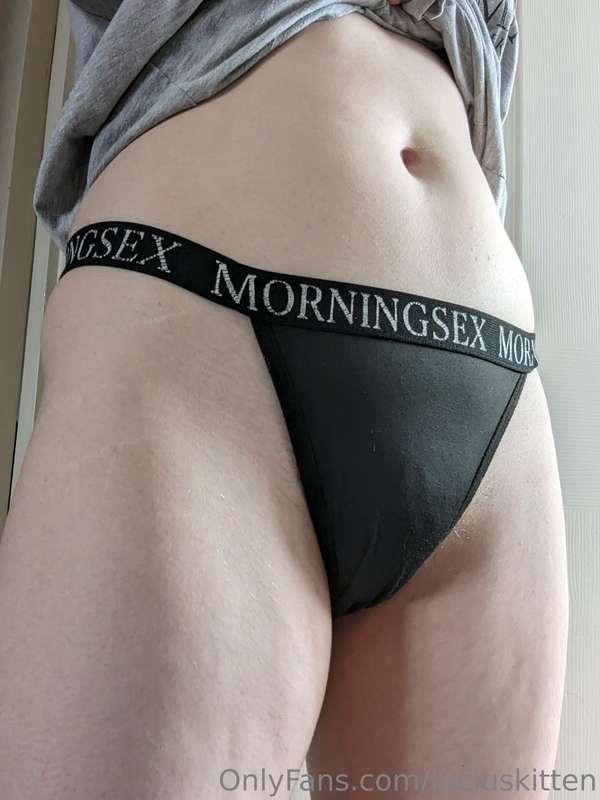 luciuskitten image #1