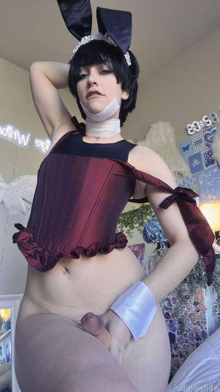 indigowhite image #168