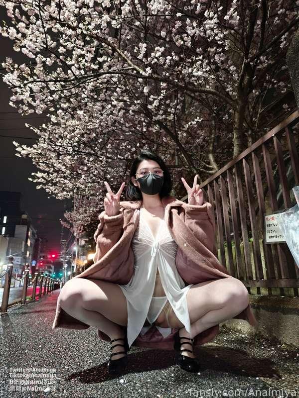anaimiya image #2