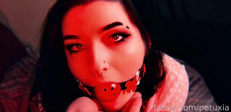 petuxia image #1