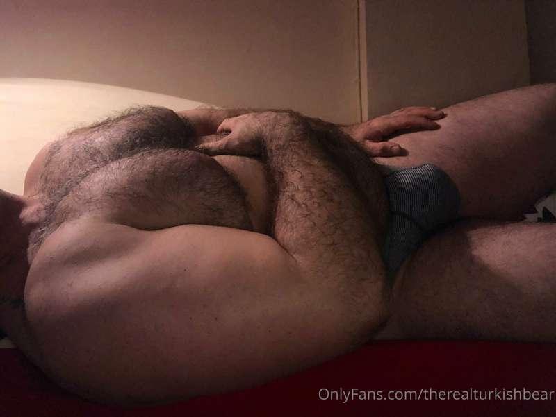therealturkishbear main image