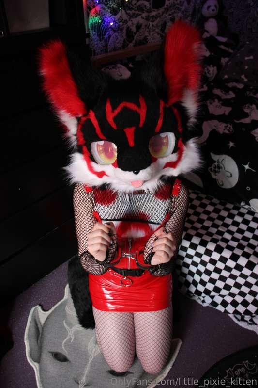 little_pixie_kitten image #1