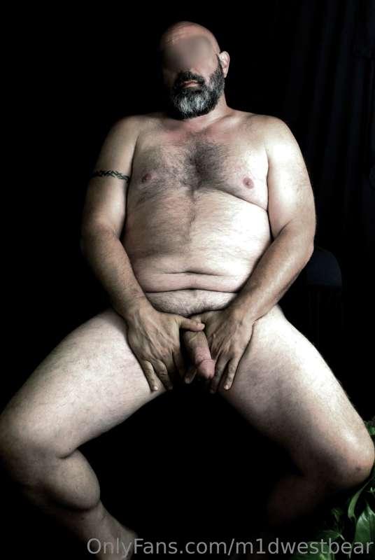 m1dwestbear image #5