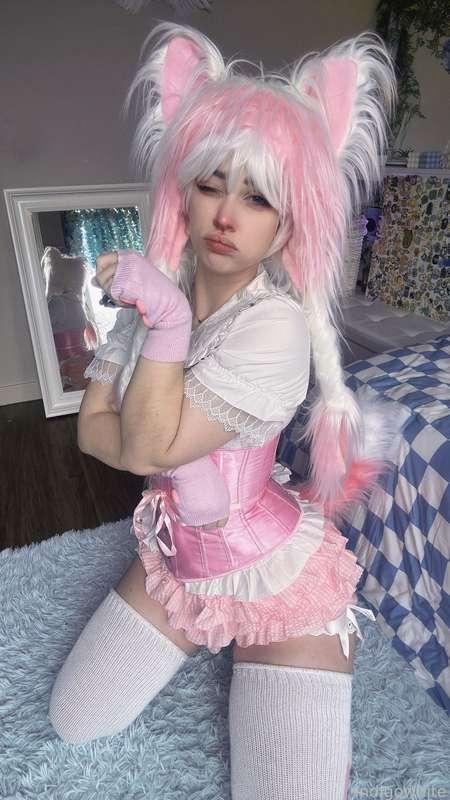 indigowhite image #77