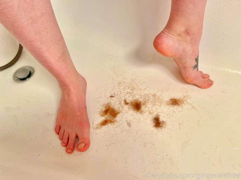 gingeralefree main image