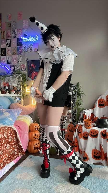 indigowhite image #27