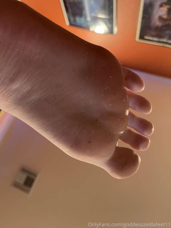 goddesszeldafeet11 image #2