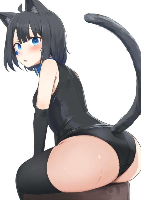 June. 6. 2023 (M18 Black cat)
