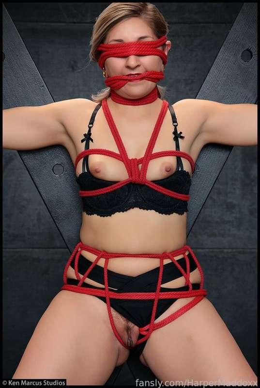 harpermaddoxx image #0