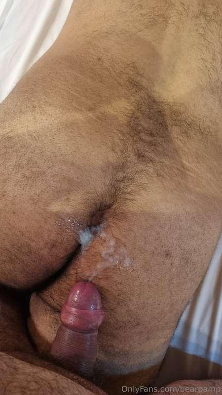 bearpamp image #6