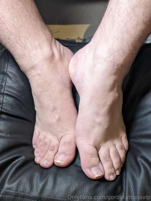 gordotattoosvip image #5