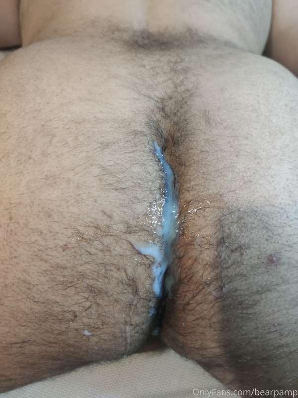 bearpamp image #5
