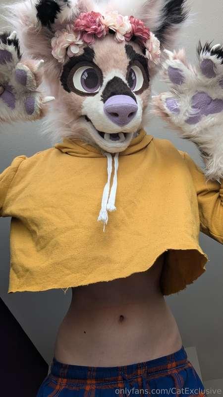 catexclusive image #1