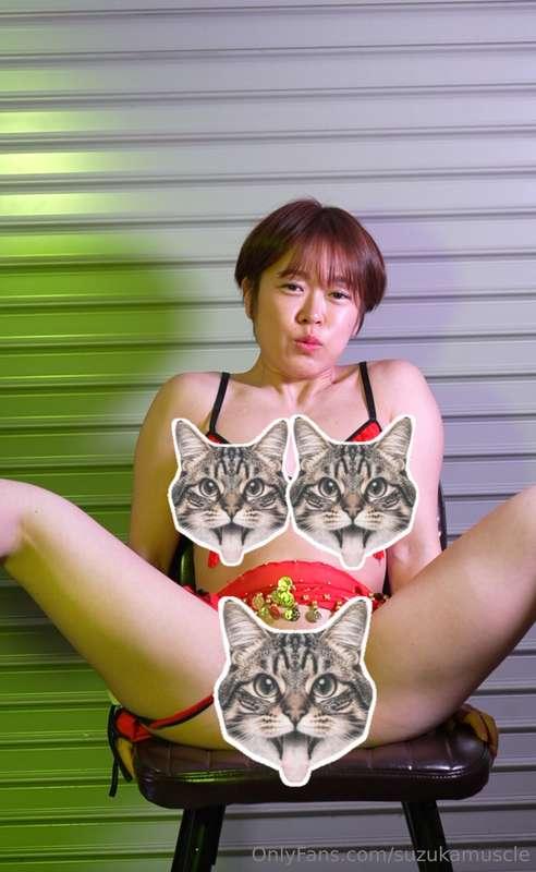 suzukamuscle main image