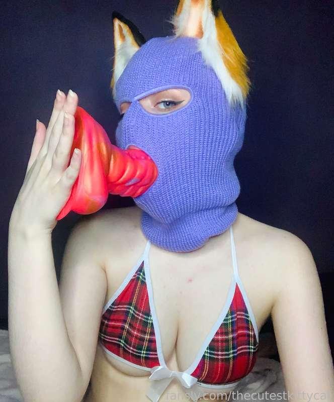 thecutestkittycat image #0