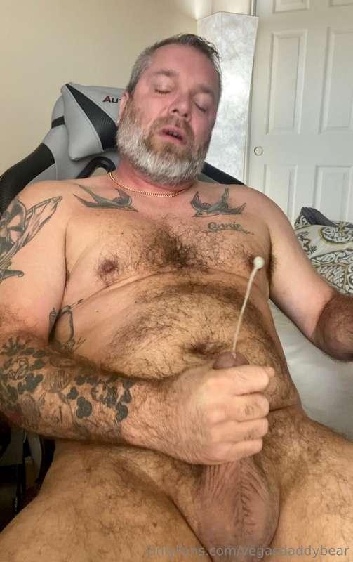 vegasdaddybear main image