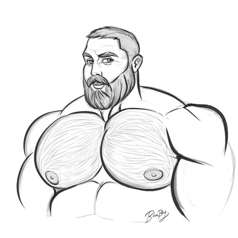 Bear sketch 