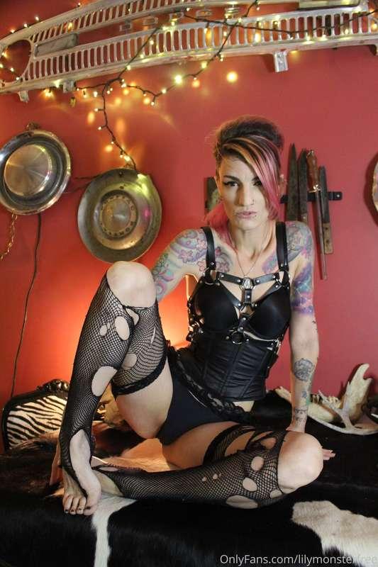 lilymonsterfree image #2