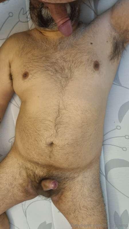 bearpamp image #1