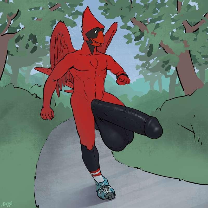 Spring Jog Alts