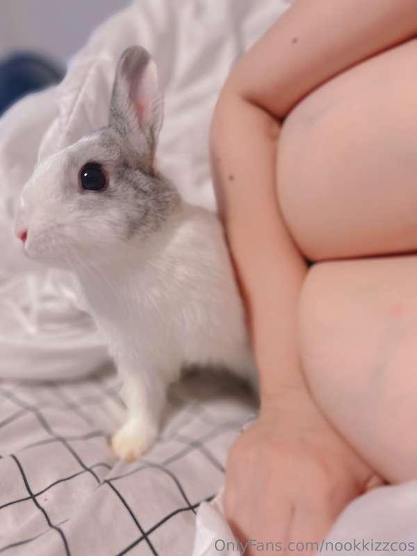 🐰🐰