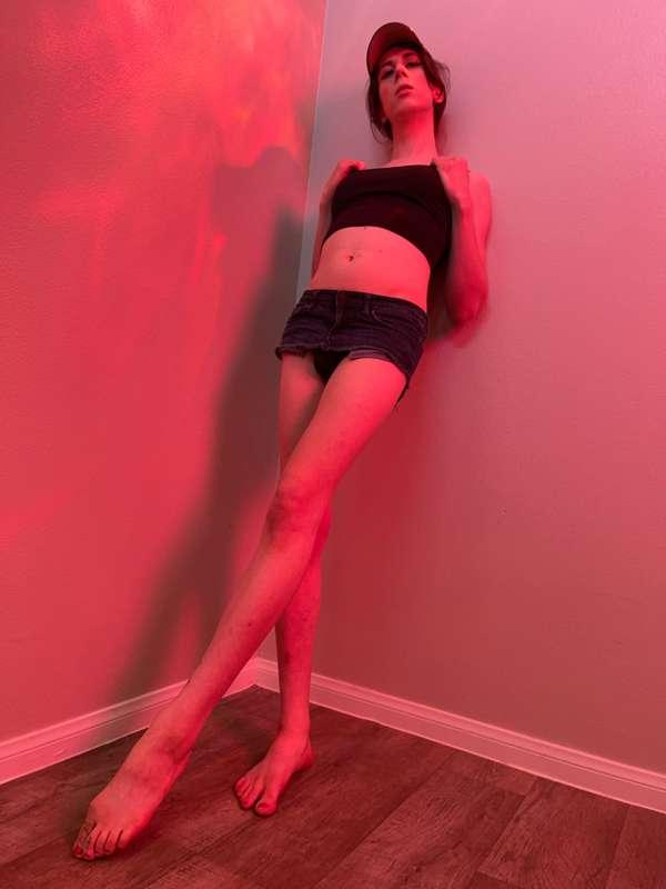 sophieladder image #1