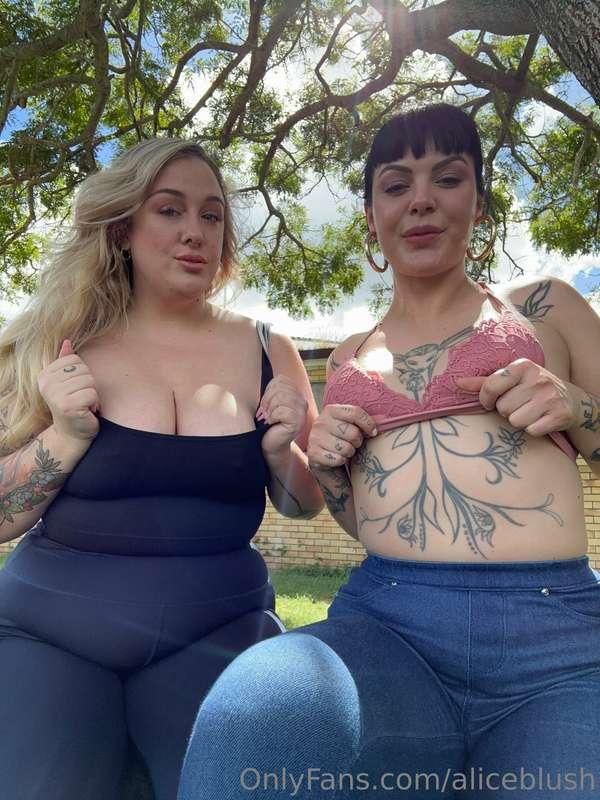 Backyard picnics