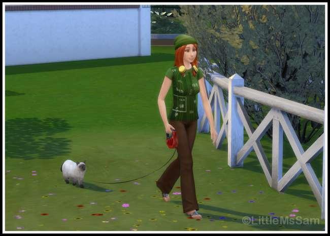 New Mod "Go for a Walk with Cats"