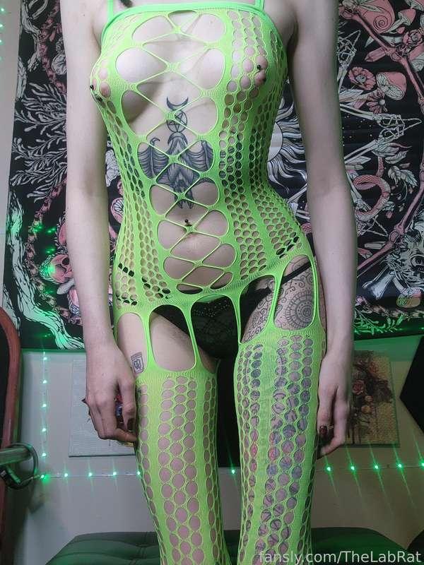 thelabrat image #1