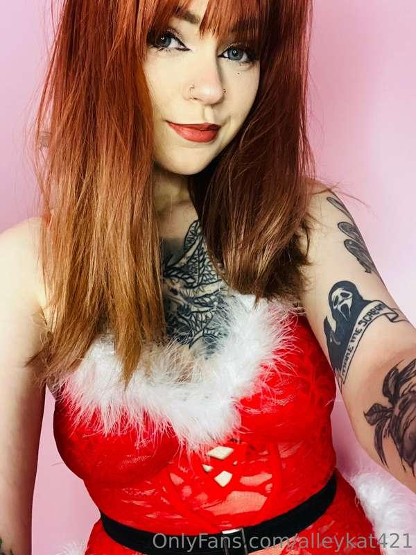 alleykat421 image #4