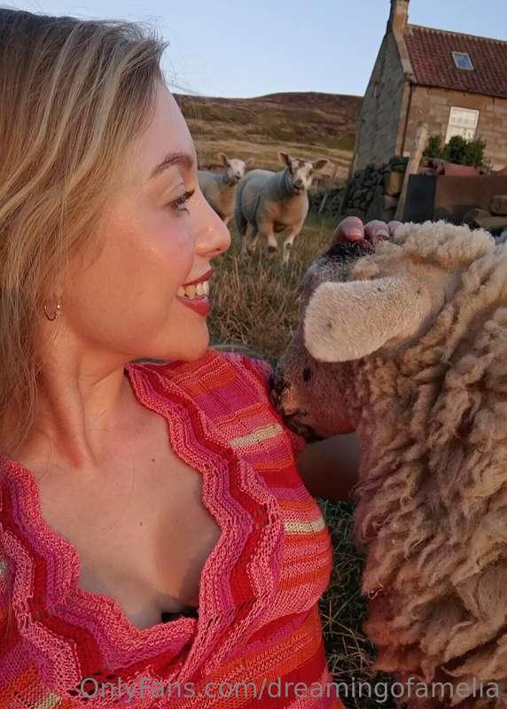 This lamb is just the cutest, he loves a cuddle😍