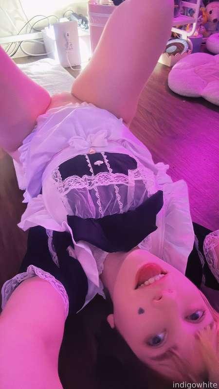 indigowhite image #11