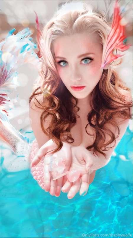 💖💖💖💖