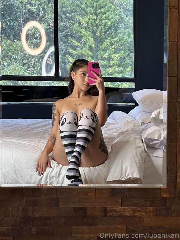🐼