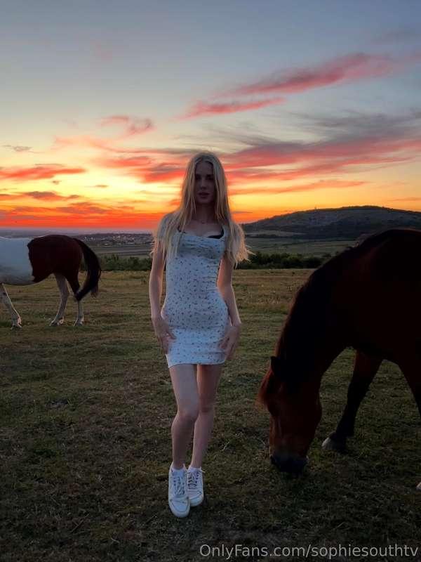 🐴👸
