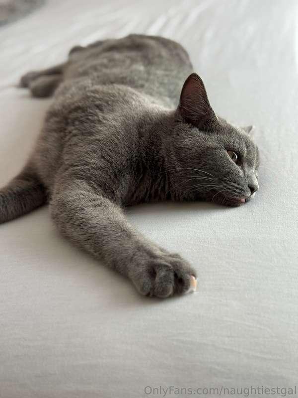 naughtiestgal image #0