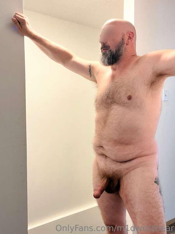 m1dwestbear image #2