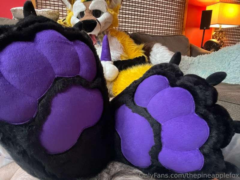 thepineapplefox image #1