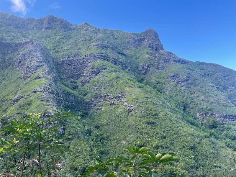 serenitydesirexo image #6