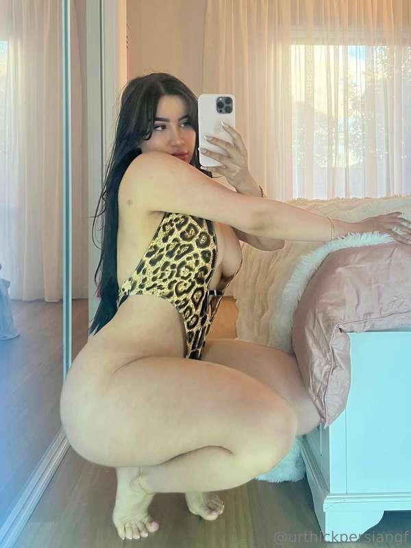 urthickpersiangf image #0