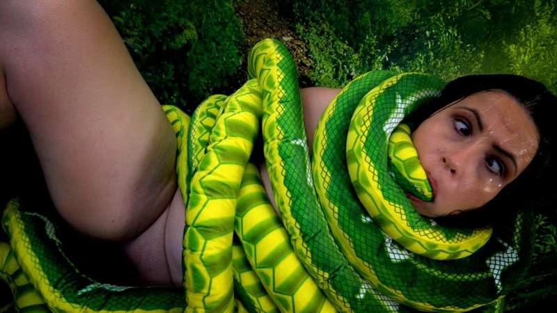 psst if you're into kaa videos check this tweet! 

https://t..