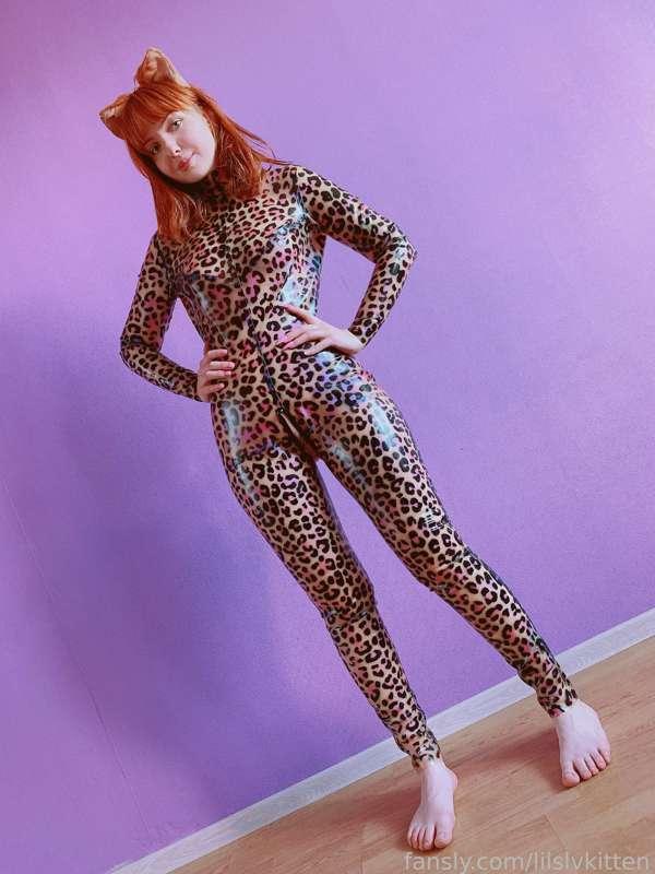 lilslvkitten image #1
