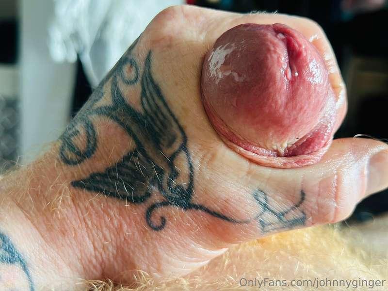 johnnyginger image #4