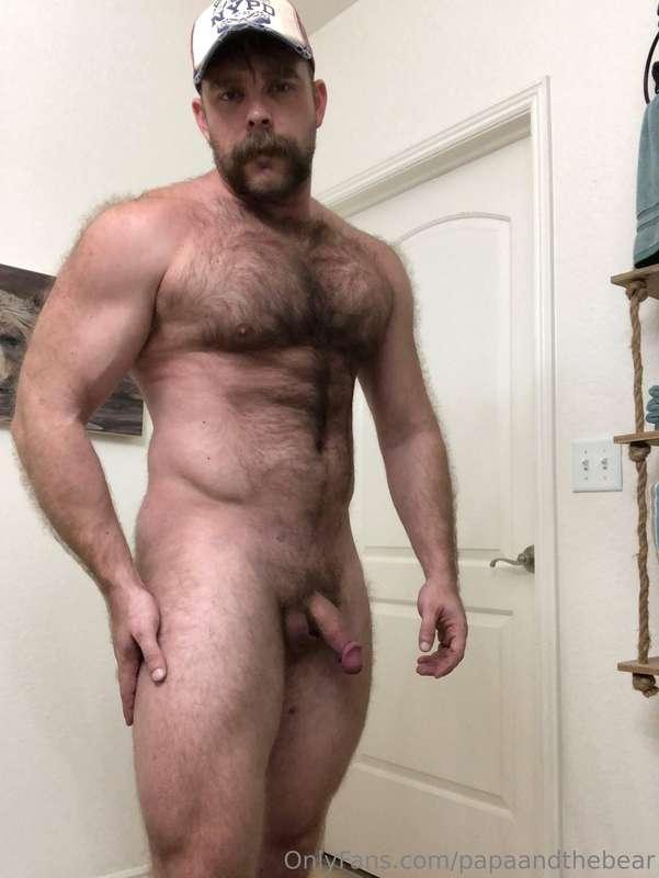 papaandthebear image #2